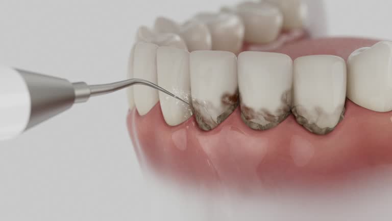 Reliable Dental contractor in Northview, MI by Dentist Open Now
